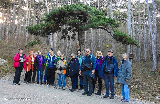 Unterhaltsame Wanderung zum Jahresausklang