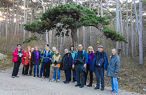 Unterhaltsame Wanderung zum Jahresausklang