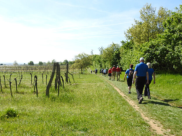 Wandertag in Mörbisch